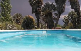Palmares al cerro